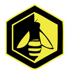 ACTION BEE REMOVAL