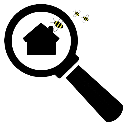 bee inspection irvine